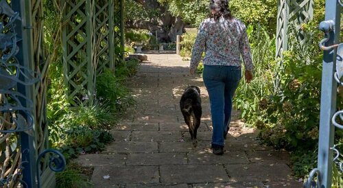Maddies of Bolwarra, Забронировать Отель «постель и завтрак» Отели Мейтленд 4 звезды, 4*