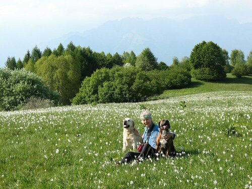 BioAgriturismo Vegan Campo di Cielo, Prenota Agriturismo Cesiomaggiore Dolomiti