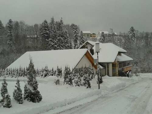 DZT-Schwarzwaldhotel Garni, Réserver Hôtel Hôtels à Bade-Wurtemberg avec parking, Parking