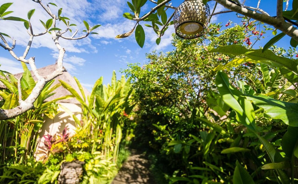 Atta Mesari Ubud