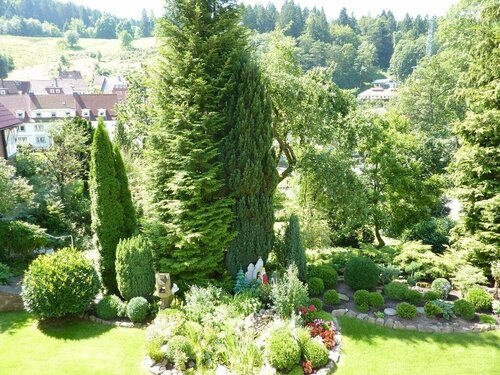 Pension Rheingold Garni, Reservar Hotel Bad Grund Lower-Saxony