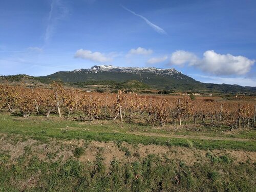Casa Rural Osante, Prenota Casa vacanze Hotel a Rioja Alavesa con colazione, Colazione