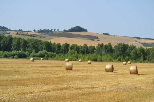 Agriturismo Le Spighe, Book Feriehus Tuscia Villas, Villa