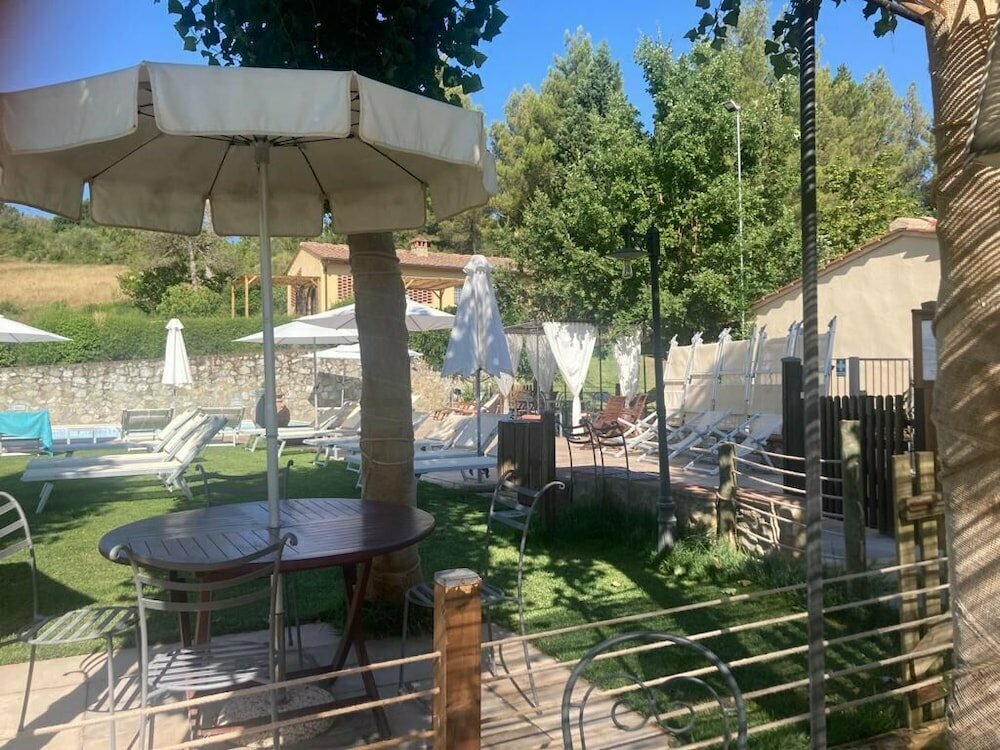 Gatto Bianco Tizzauli
