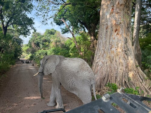 Lake Manyara Kilimamoja Lodge, Prenota Hotel Monduli Mto wa Mbu