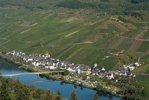 Weingut Rieth - Gastehaus Vinaria