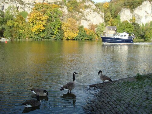 B&B La Ruelle, Prenota Bed & breakfast Profondeville Namur