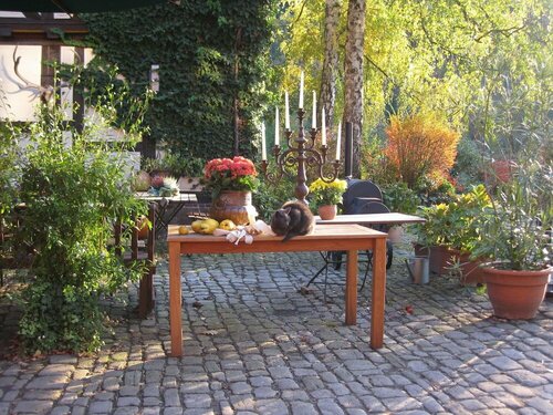 Hotel Schlafschön, Reservar Hotel Hann. Muenden Lower-Saxony