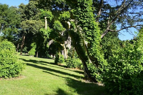 Oakley Hall Hotel, Book Hotel 4-stjernede hoteller i Merseyside, 4*