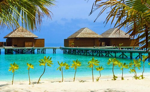 Rasdhoo Relax Inn, Book Hotel Alif Alif Atoll Maldiverne