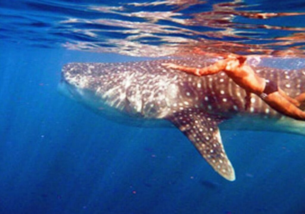 Ranveli Island Resort