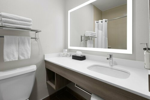 Holiday Inn Express & Suites Wyomissing, an IHG Hotel, Prenota Hotel Wyomissing Pennsylvania