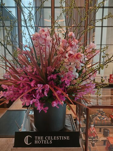 Hotel The Celestine Ginza, Book Hotel Hoteller i Tokyo med parkering, nær Kitte, Parkering