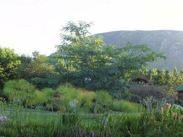 Tsitsikamma Lodge & Spa