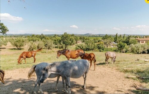 Agriturismo Il Cavone, Book Landbrugsophold Sovana Toscana