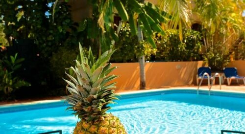 Villa del Sueño, Book Hotel Hoteller i Guanacaste med parkering, Parkering