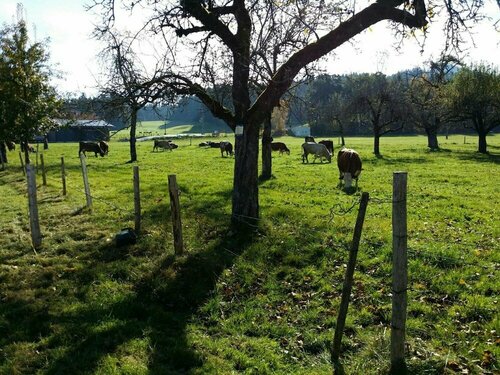 Landpension Sternberg, Reserva ahora Hotel Gruenenbach Westallgaeu