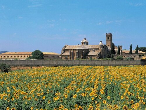 Hospedería de Alesves, จอง โฮสเทล Villafranca Bardenas Reales Natural Park