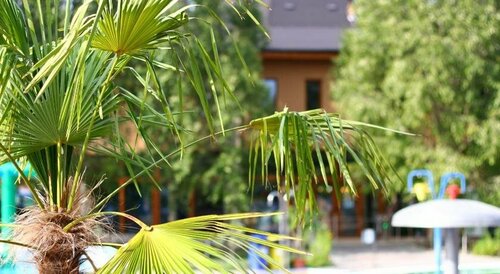 Hotel Termálkristály, Réserver Hôtel Hôtels à Pest avec piscine, Piscine