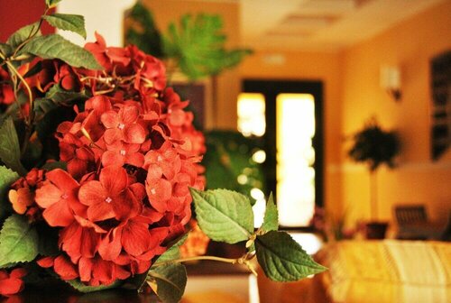 Greta Rooms Hotel, Book Hotel SPA Hotels in Sicily, SPA