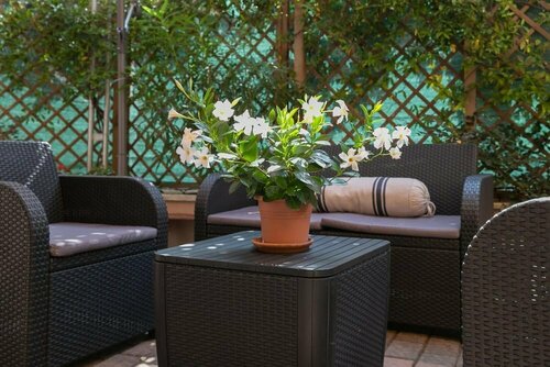 HOTEL DEL CORSO, Prenota Hotel Borgomanero Piemonte