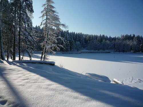 Hotel Waldsee, Rezerwuj Hotel Lindenberg im Allgaeu Westallgaeu