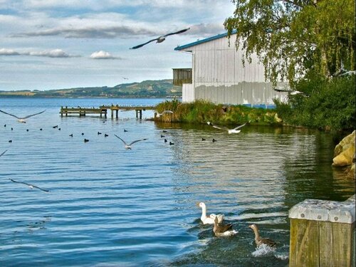 Novotel Rotorua Lakeside, Rezerwuj Hotel Hotele w Auckland Region ze śniadaniem, Śniadanie