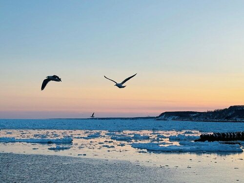 LiVEMAX RESORT Shiretoko Sea Front, Забронировать Курортный отель Раусу Shiretoko Peninsula