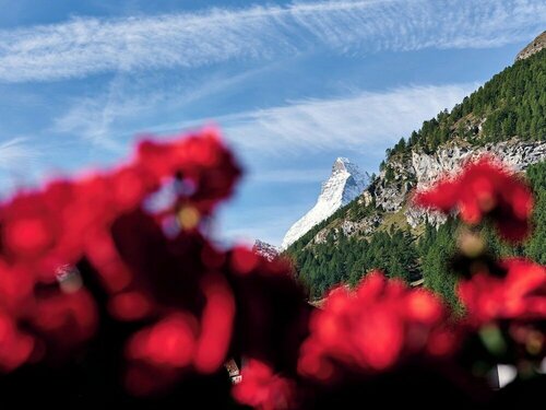 Hotel Ambassador Zermatt, Prenota Hotel Hotel tutto incluso a Canton Vallese, All Inclusive