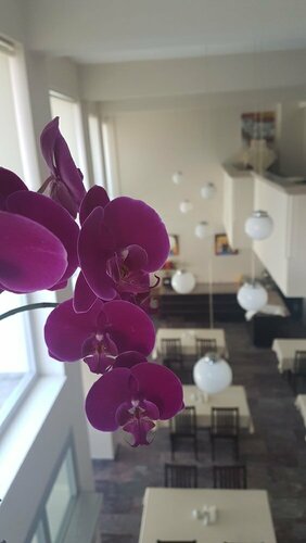 İleri Hotel & Apartments, Rezerwuj Apartament Çeşme Izmir