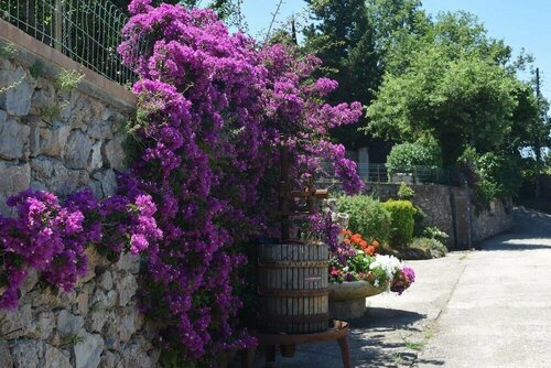 B&B Il Grappolo, Book Bed and Breakfast Anacapri Capri Island