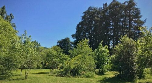 Domaine de lAmiral, Book Hotel Hoteller i Rhône-Alps med parkering, Parkering