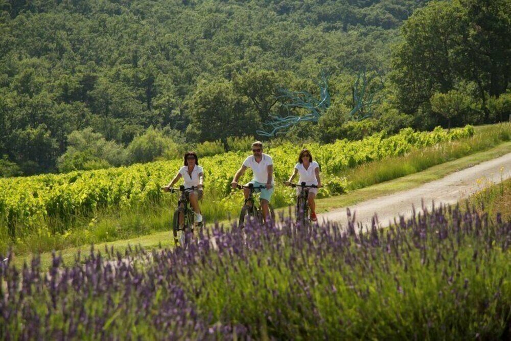 Domaine De La Verriere