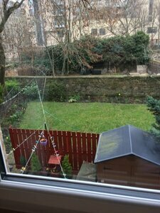 Bonnies Guesthouse