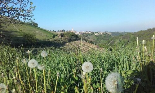 Ca D Rot, Book Hotel Asti Piedmont