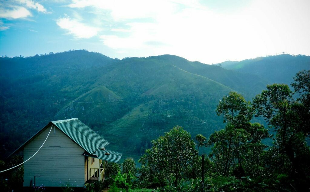 Cool Mount Resort