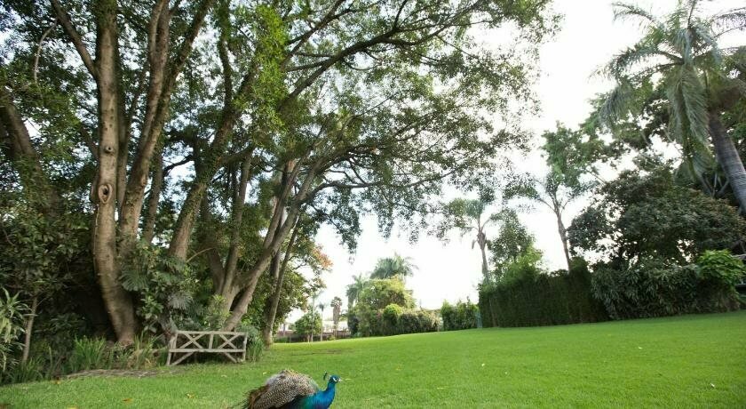 Posada Jacarandas
