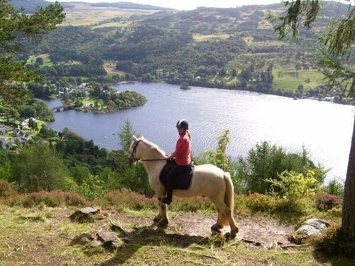 Mains of Taymouth Country Estate 5* Houses, Забронировать Дом для отпуска Кенмор Пертшир, рядом с Шотландский центр изучения кранногов