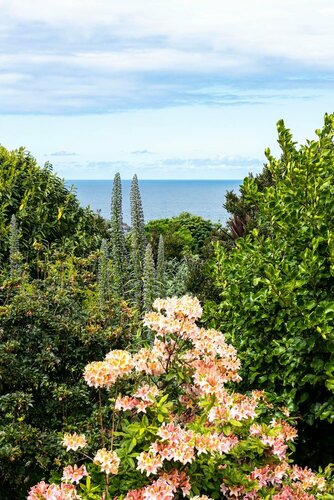 Tregenna Castle Estate, Book Ferieresort Hoteller i St Ives med parkering, Parkering