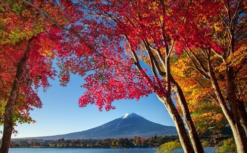 Курорт HOTEL MYSTAYS Fuji Onsen, Забронировать Курортный отель Фудзиёсида 
