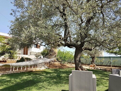 B&B All'ombra degli ulivi, Book Bed and Breakfast Hoteller i Ostuni med morgenmad, Morgenmad