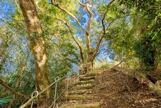 Grow Tree Glamping