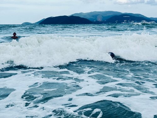 Navy Nha Trang
