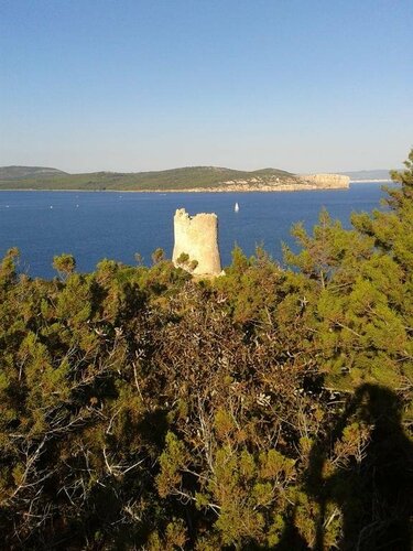 ALGHERO SEASIDE Guest House - Affittacamere, Varaa Hotelli Alghero Sardinia North