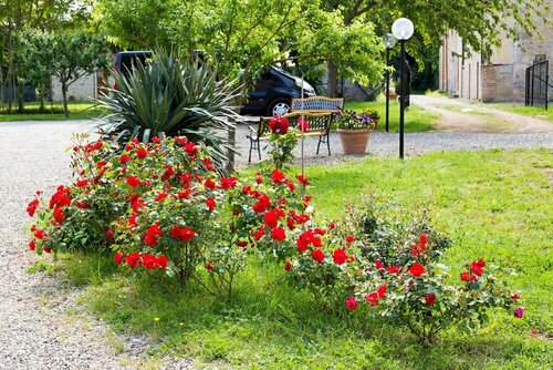 Fattoria il Casone, Book Feriehus Hoteller i Chianti med parkering, Parkering