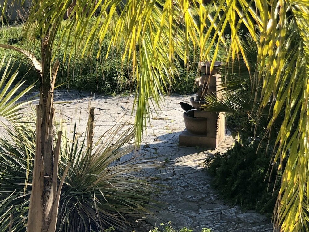 The Garden Of Adriana