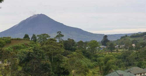 Rindu Alam Hotel, Prenota Hotel Gotong Royong 