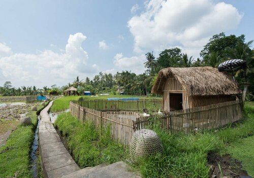 Kenanga Ubud, Book Hotel Hoteller i Gianyar med pool, Swimmingpool