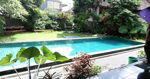 Rona Accomodation, Book Hotel Hoteller i Gianyar med pool, Swimmingpool