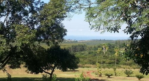 Misty Mountains, Prenota Hotel Louis Trichardt 
